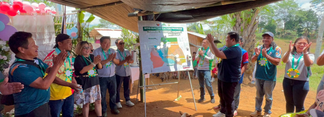 Celebration in Every Sitio: How BUSECO,  NEA, and LGUs Turned Darkness Into Light